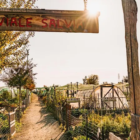 La Tenuta di Santo Stefano - Agri Resort-2